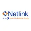 Netlink Software Group Private Limited logo