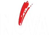 Nova Dyestuff Industries Private Limited logo