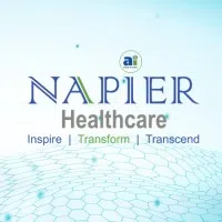 Napier Healthcare Solutions (India) Private Limited logo