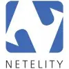 Netelity Websolutions Private Limited logo