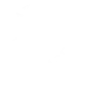 Oakwood Winery Private Limited logo