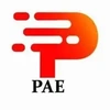 Pae Controls (India) Private Limited logo