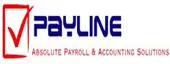 Payline India Accounting Services Private Limited logo