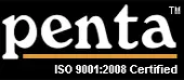 Penta Auto Equipments Private Limited logo