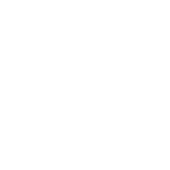 Pinrents Estate Services Private Limited logo