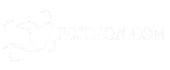 Pixthon Digital Solutions Private Limited logo