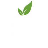 Playtonia Esports Private Limited logo