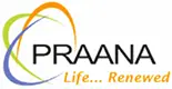 Praana Energy India Private Limited logo