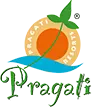 Pragati Kamadhenu Estates Private Limited logo