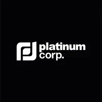 Platinum Capital Solutions Private Limited logo