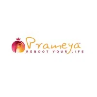 Prameya Health Private Limited logo