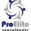 Proelite Consultants Private Limited logo