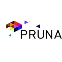 Pruna Industries Private Limited logo