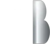 Roland Berger Private Limited logo