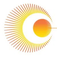 Lightsource Renewable Energy India Opco Private Limited logo