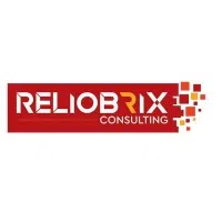 Reliobrix Consulting Private Limited logo