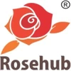 Rosehub Edutainment Private Limited logo