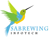 Sabrewing Infotech Private Limited logo