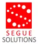 Segue Solutions Private Limited logo