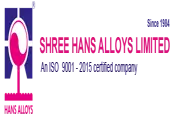 Shree Hans Alloys Limited logo
