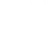 Shyam Ahuja Private Limited logo