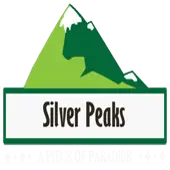 Silver Peaks Developers & Builders Private Limited logo
