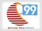 Skyline Tele Media Services Limited logo