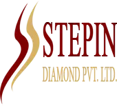 Stepin Diamond Private Limited logo
