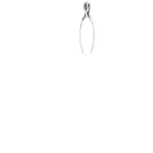 Sycoriaan Matrimonial Services Limited logo