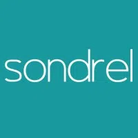 Sondrel India Private Limited logo