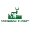 Springbok Energy Private Limited logo