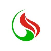 Sruti Filatex Private Limited logo