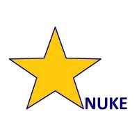 Star Nuke Consulting Engineering Services Private Limited logo