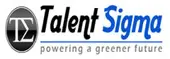 Talentsigma Professionals Private Limited logo