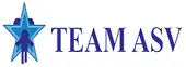 Team Asv Consultants Private Limited logo