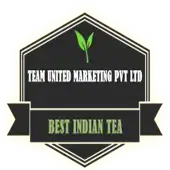 Team United Marketing Private Limited logo