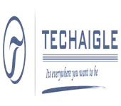 Techaigle Systems Private Limited logo