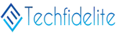 Techfidelite Solutions Private Limited logo