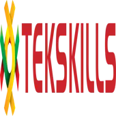 Tekskills India Private Limited logo