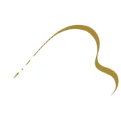 Theme Music Company Private Limited logo