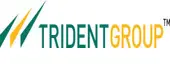 Trident Infotech Limited logo