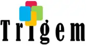 Trigem Infosolutions Limited logo