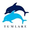 Tumlare Software Services Private Limited. logo