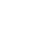 Unique Perfect Productions Private Limited logo