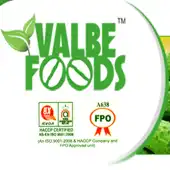 Valbe Foods ( India) Private Limited logo