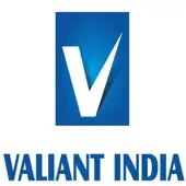 Valiant India Private Limited logo