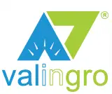 Valingro Private Limited logo