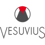 Vesuvius India Ltd logo