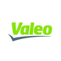 Valeo India Private Limited logo