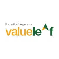 Valueleaf Services (India) Private Limited logo